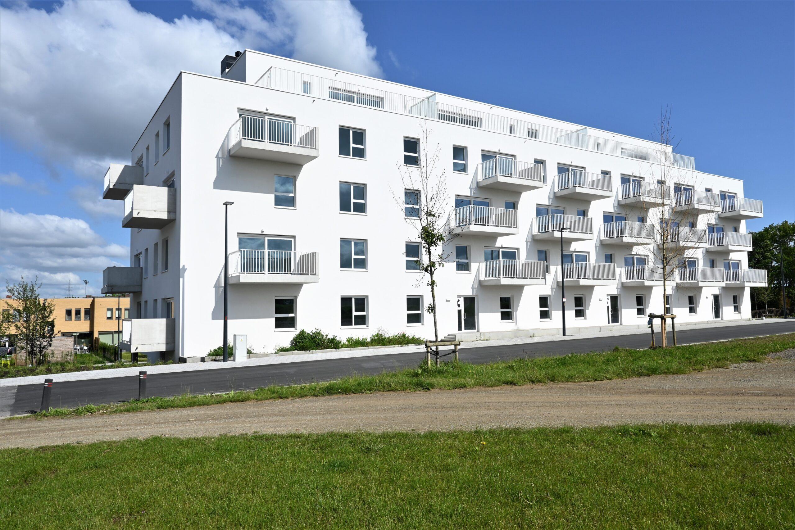 Featured image for “Te koop: appartementen in centrum Zwevegem”